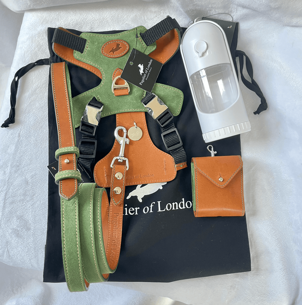 Leather Dog Harness - Free Delivery Over £50 – Pugalier of London
